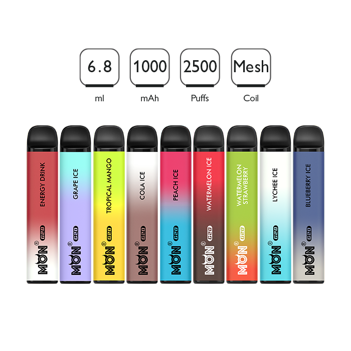 G20/2500 PUFFS Wholesale Disposable Vapes Distributors 10 pcs