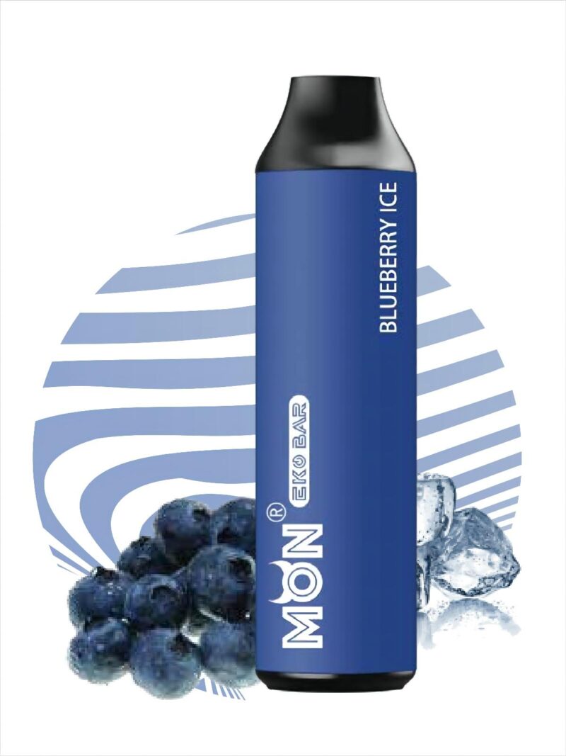 3000 Puffs Disposable Blueberry Juice Vape